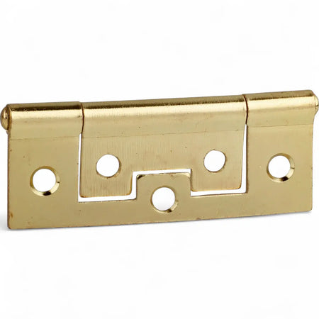 Brass Plated Flush Hinge (2-Pack)