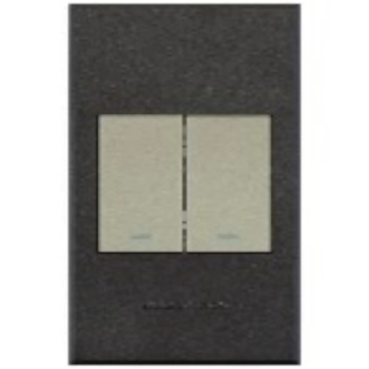 Two lever light switch