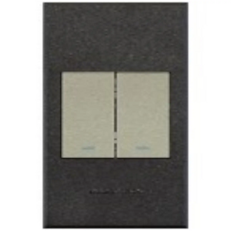 Two lever light switch