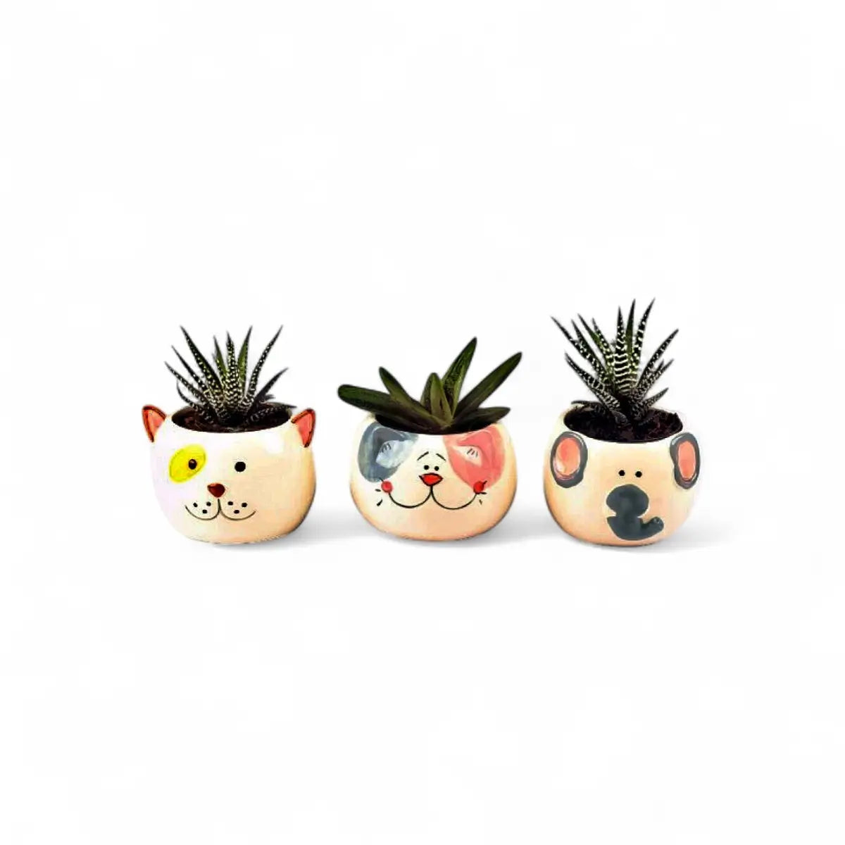Animal Novelty Succulent (9cm) - Sold Individually