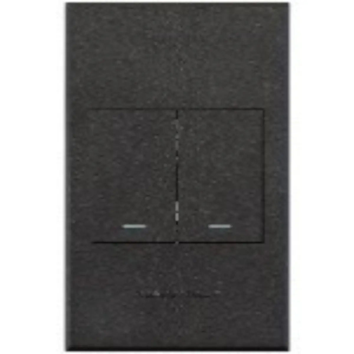 Two lever light switch