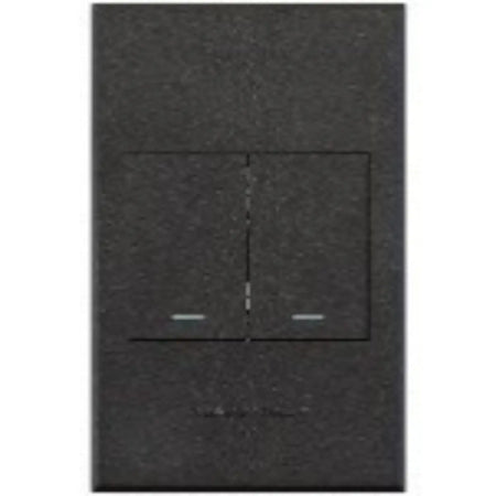 Two lever light switch