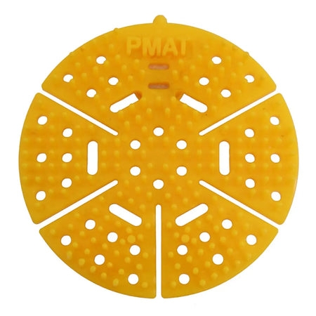 Yellow lemon parrot pmat