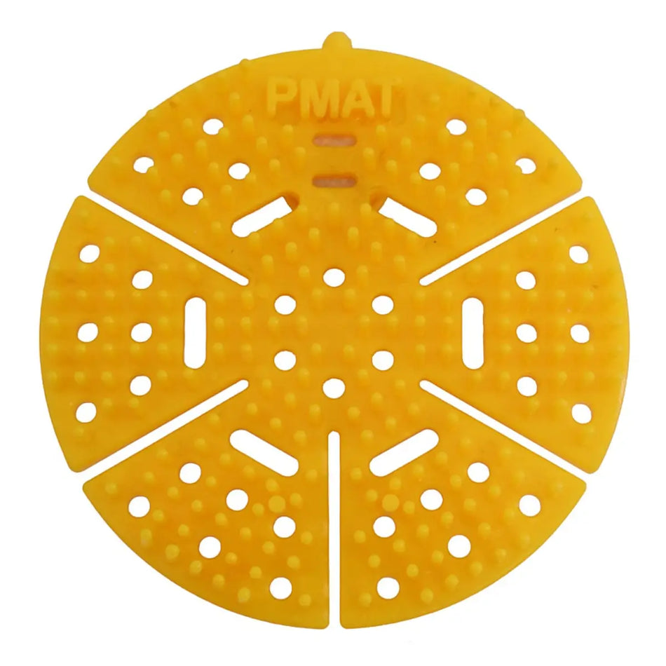 Yellow lemon parrot pmat