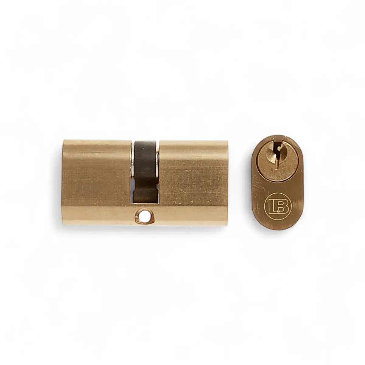 Large Oval Brass Cylinder Lock