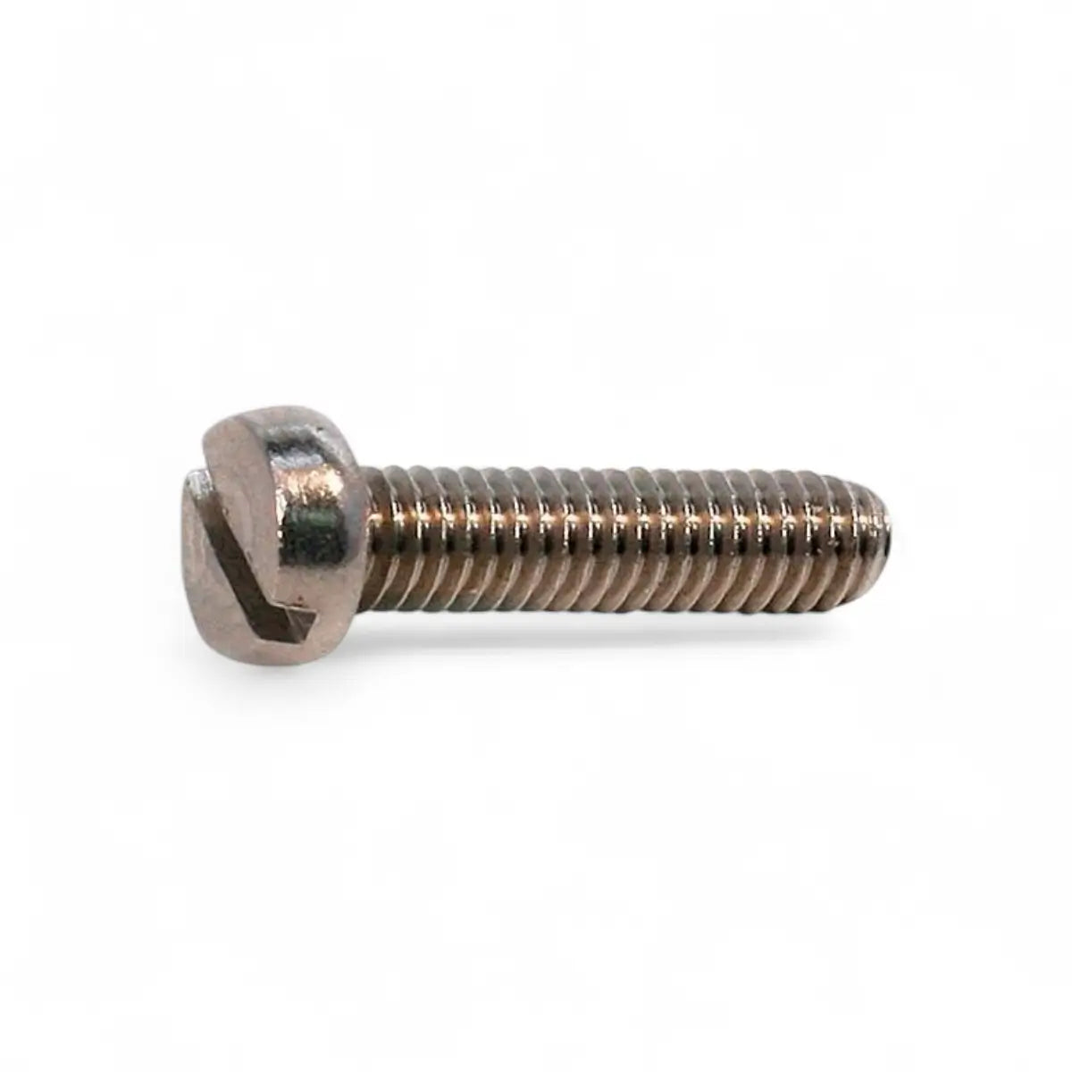Stainless Steel Cheese Head Machine Screw (10-Pack)