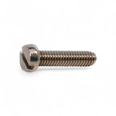 Stainless Steel Cheese Head Machine Screw (10-Pack)