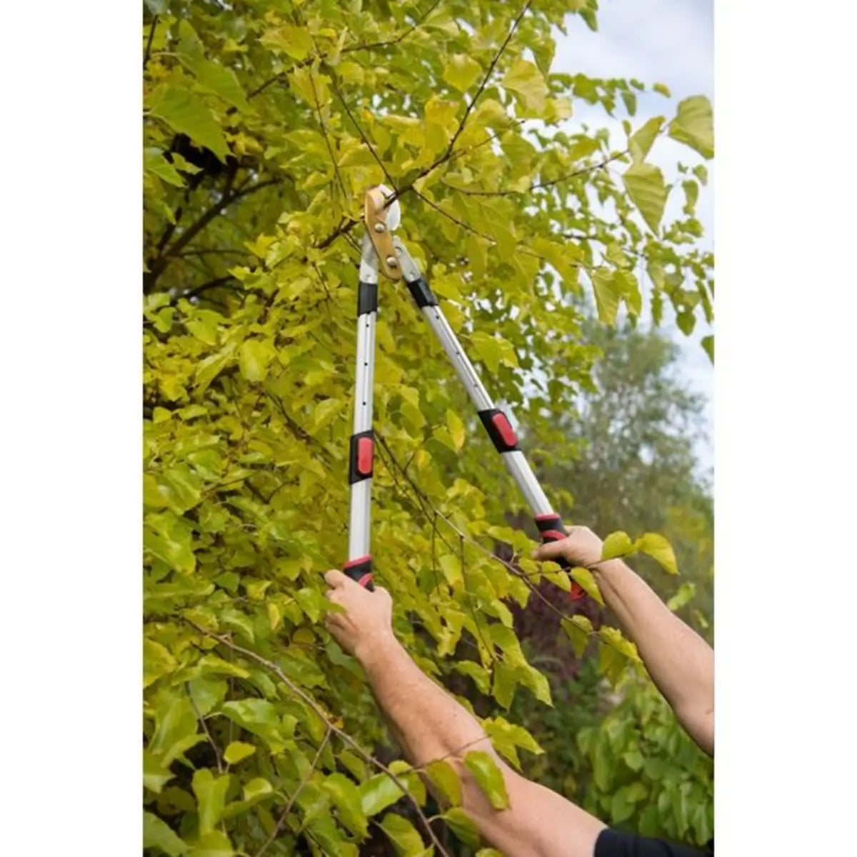Telescopic aluminum lopping shears