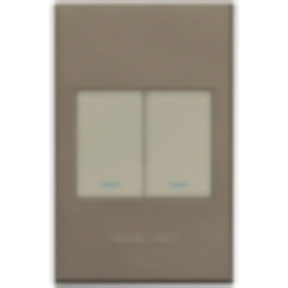 Two lever light switch