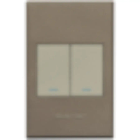Two lever light switch
