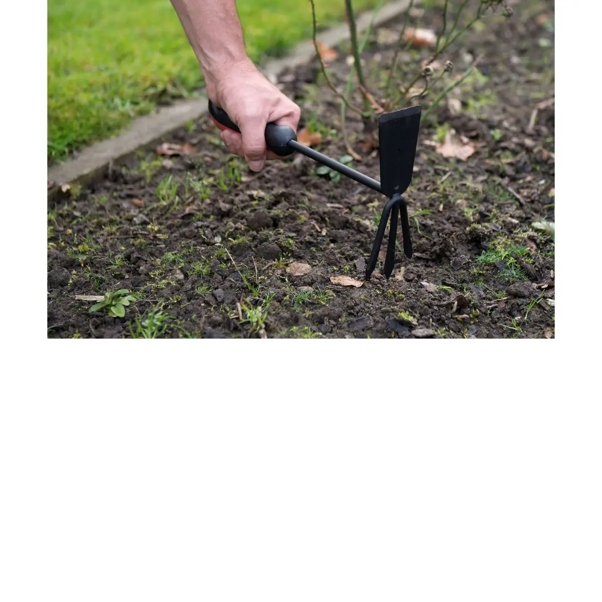 Hand weeding garden hoe