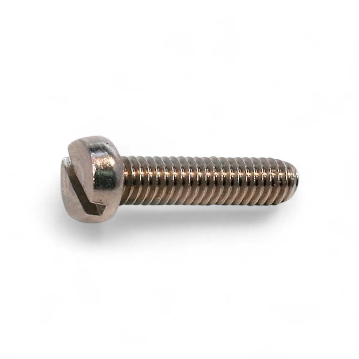 Stainless Steel Cheese Head Machine Screw (10-Pack)