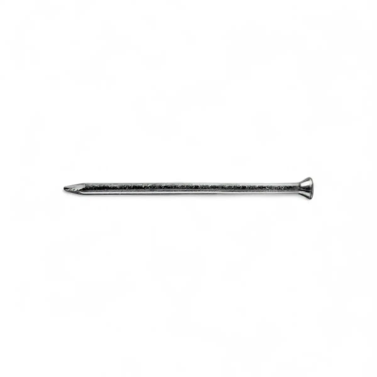 Masonry Nail (10-Pack)