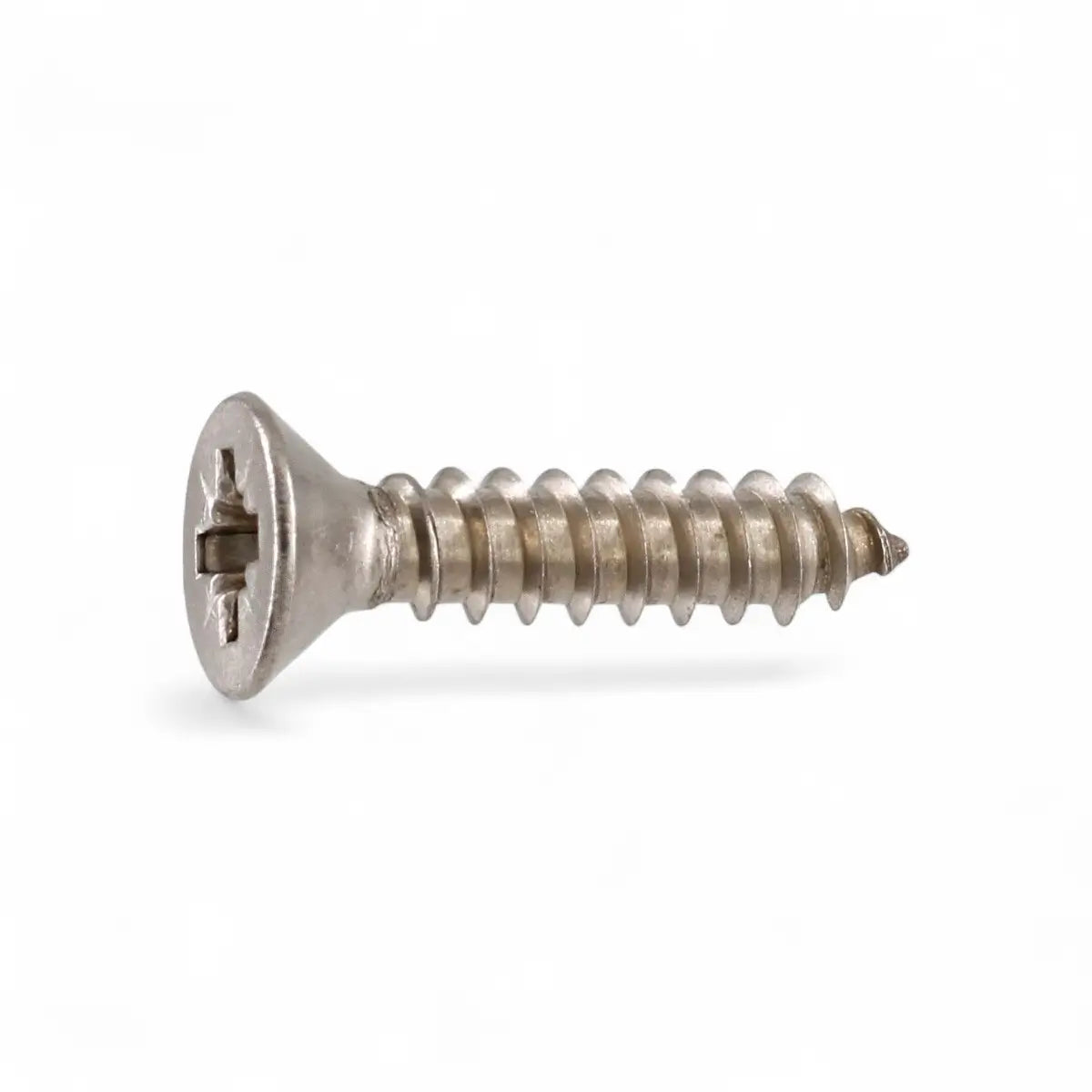 Stainless Steel Chipboard Screw (25-Pack)