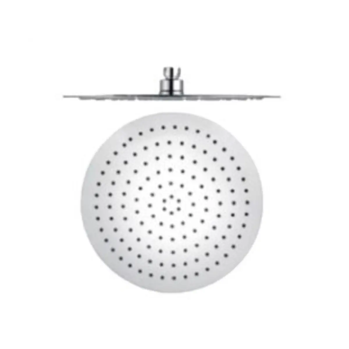 200mm stainless steel shower rose
