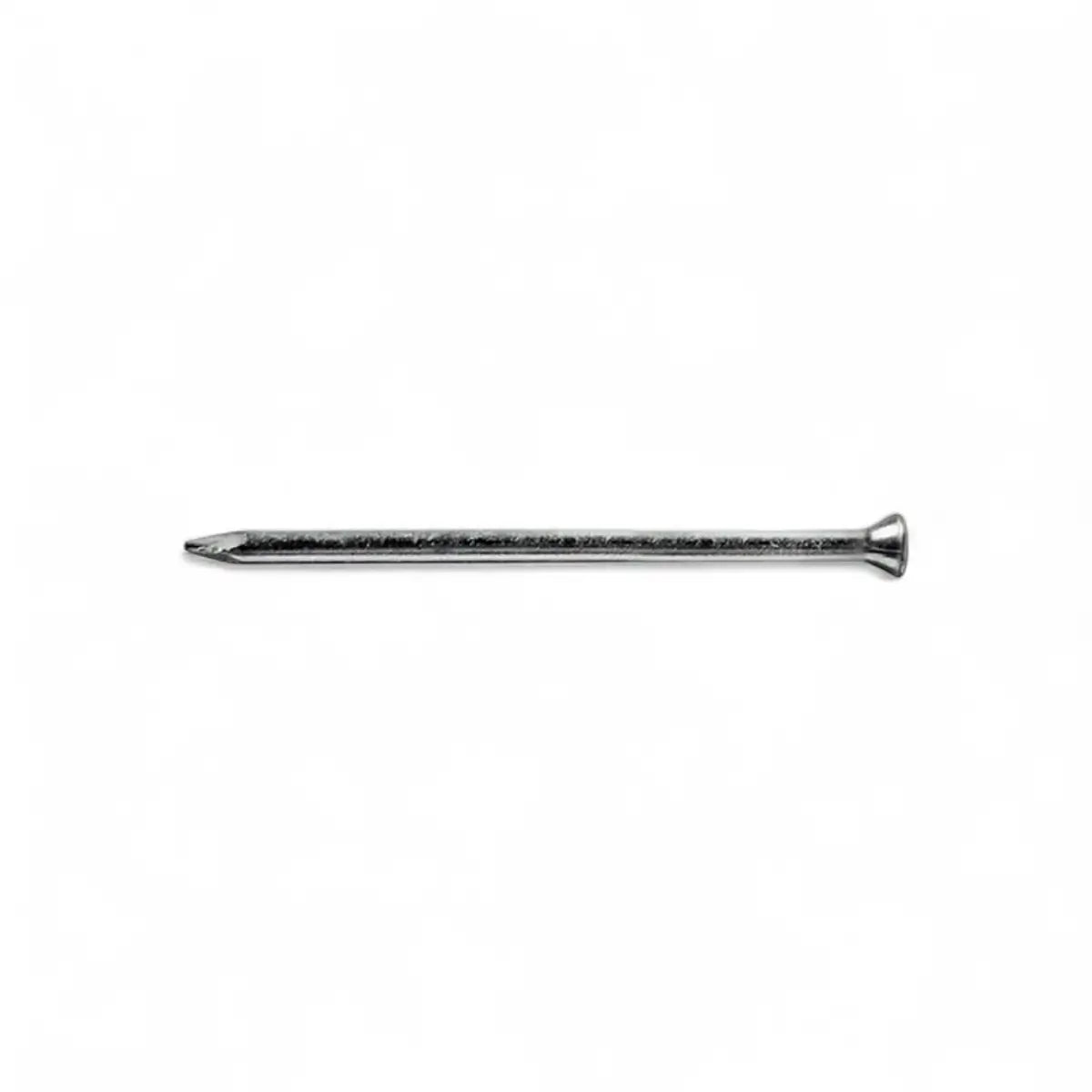 Masonry Nail (10-Pack)