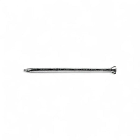 Masonry Nail (10-Pack)