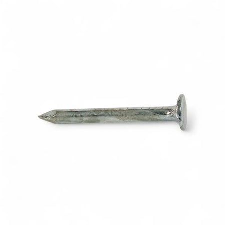 Galvanized Clout Nail - 25mm