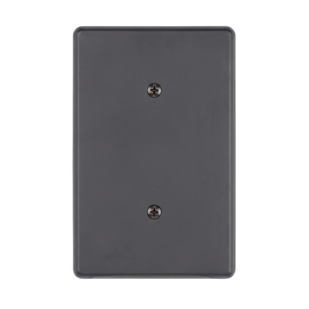 Matt black steel blank cover plate with two visible screws, shown from a straight-on view.