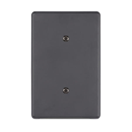 Matt black steel blank cover plate with two visible screws, shown from a straight-on view.