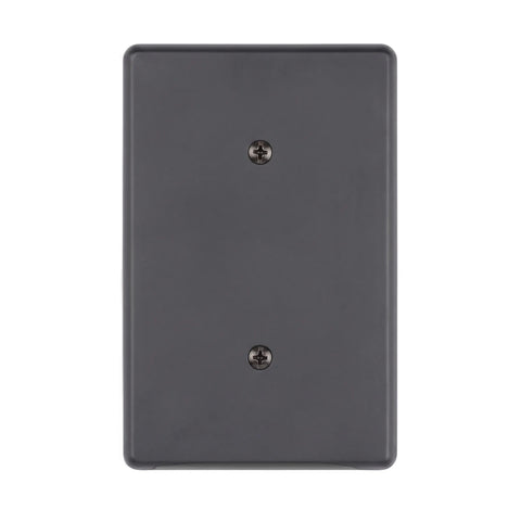 Matt black steel blank cover plate with two visible screws, shown from a straight-on view.