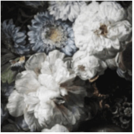 Close-up of a moody bunch print featuring large white and blue flowers with delicate petals against a dark, dramatic
