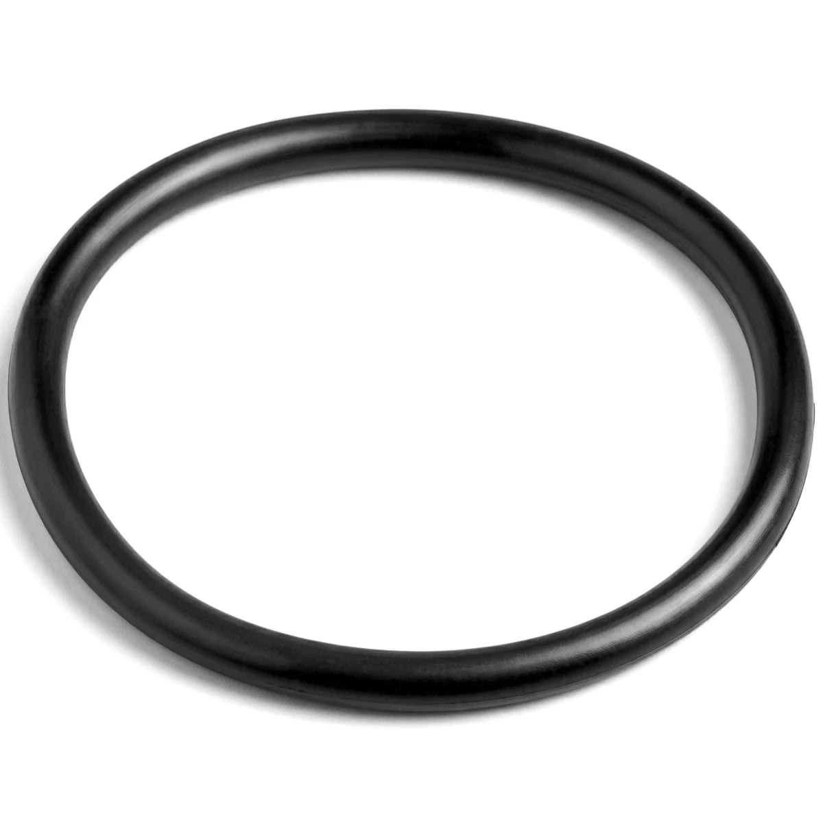 Black circular O-ring for pool light terminal cap, shown from a slightly angled view on a white background.