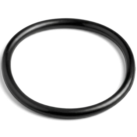 Black circular O-ring for pool light terminal cap, shown from a slightly angled view on a white background.