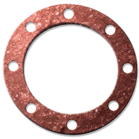 Red-brown circular metal flat combo flange gasket with eight holes, viewed from above on a white background.