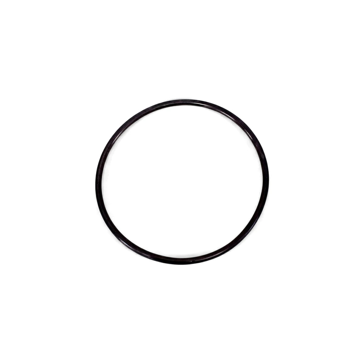 Black replacement o-ring for 20-inch Big Blue water filter housing, shown as a single circular rubber seal.