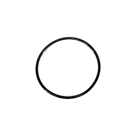 Black replacement o-ring for 20-inch Big Blue water filter housing, shown as a single circular rubber seal.