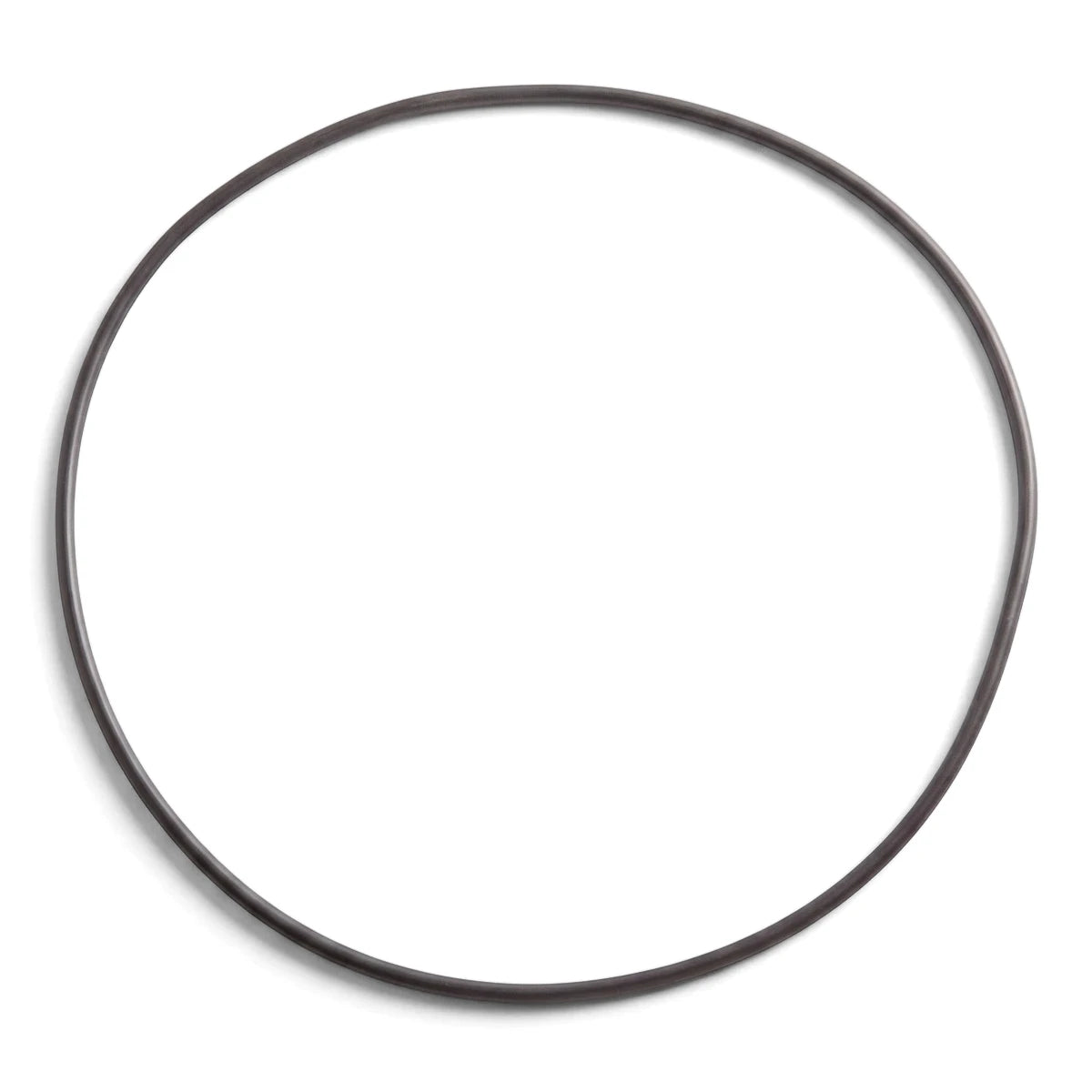 Replacement Pump Seal Plate O-Ring for Superflo, a dark circular rubber ring isolated on a white background.