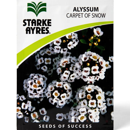 Starke Ayres Alyssum Carpet of Snow flower seed packet showing small white flowers with yellow centers.