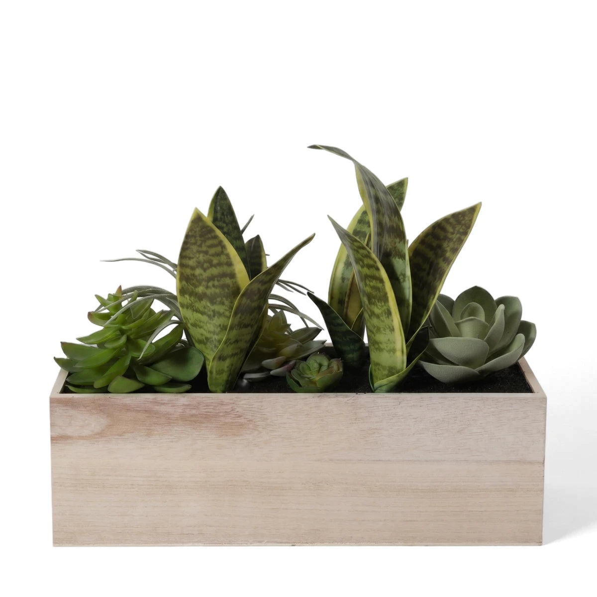 Green succulents and snake plants arranged in a light-colored square wooden box, suitable for indoor home decor.