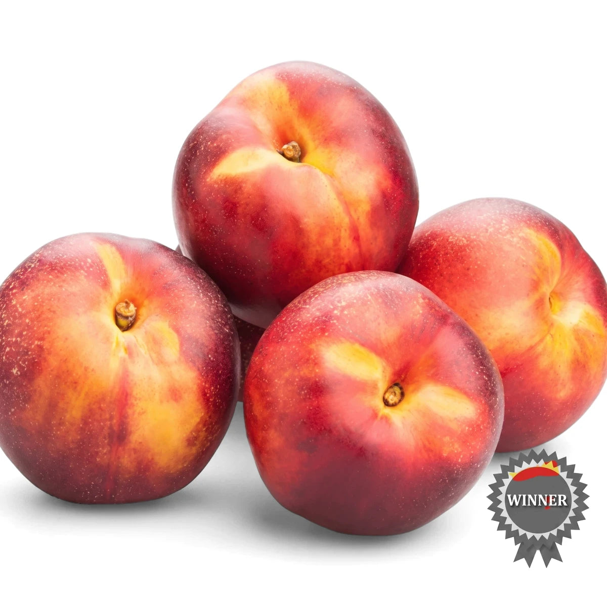 A vibrant pile of fresh red and yellow Sunlight nectarines, showcasing their smooth skin and sweet appearance.