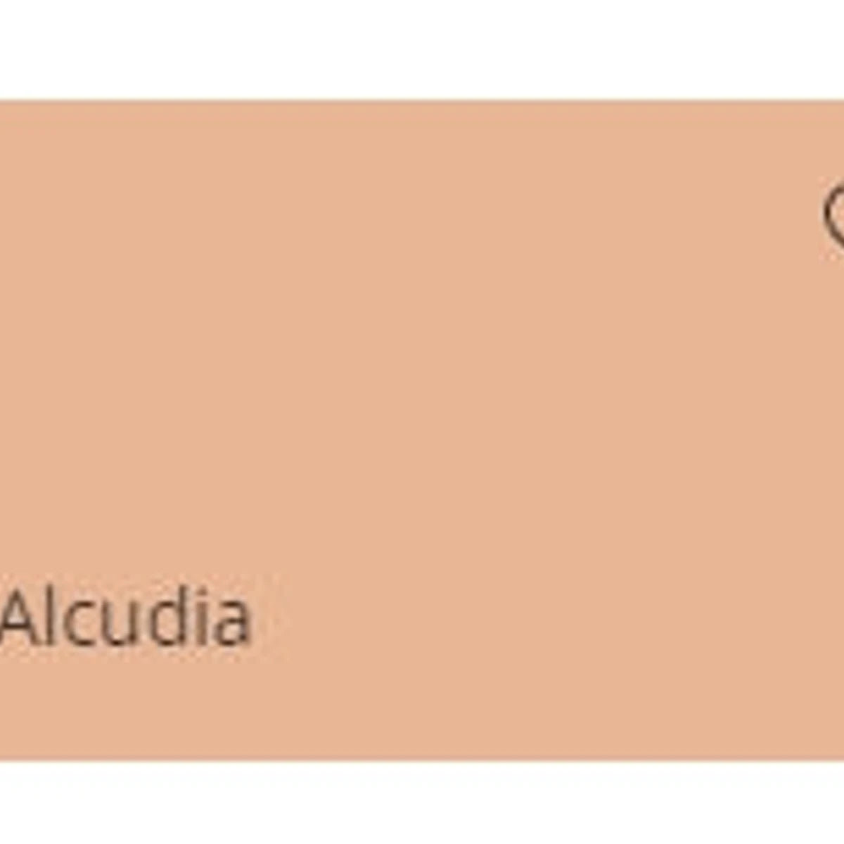 Rectangular swatch of Weatherguard Fine Textured paint in a light peach 'Alcudia' color.