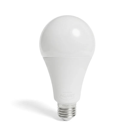 White 12W 6000K E27 LED bulb, A-series shape, seen from a straight-on perspective. Energy-efficient lighting solution.
