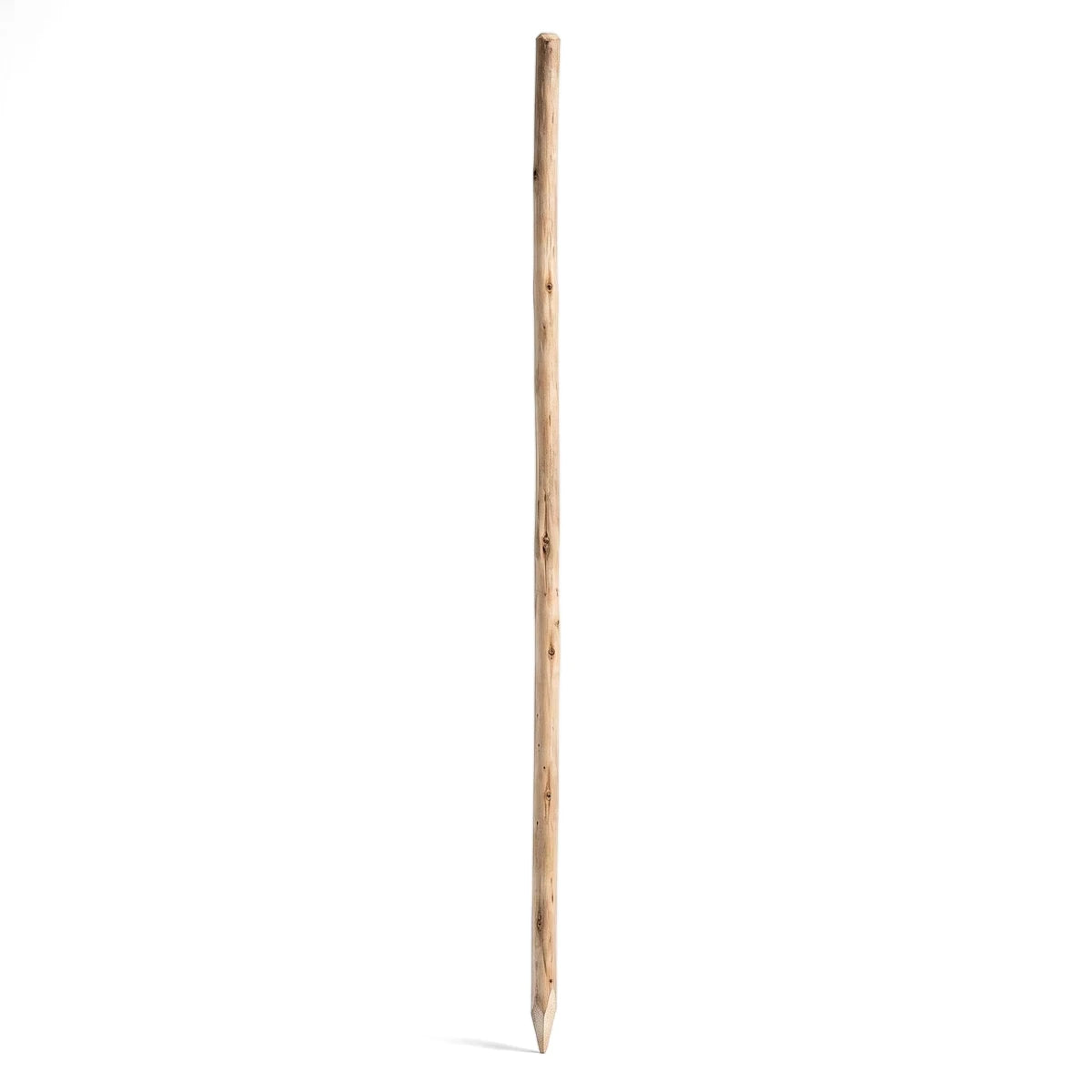 Slender square wooden garden stake, featuring natural wood grain and a light brown finish, standing vertically.