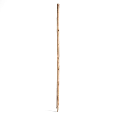 Slender square wooden garden stake, featuring natural wood grain and a light brown finish, standing vertically.